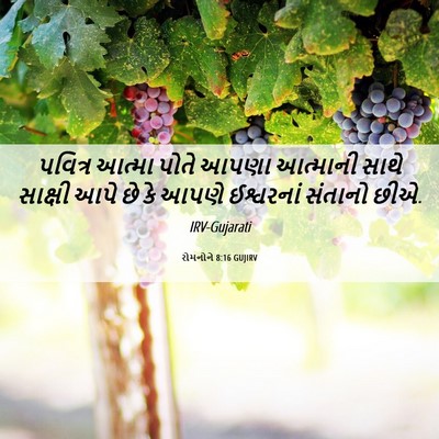 Picture 06 - રોમનોને 8:16 GUJIRV - પવિત્ર આત્મા પોતે - Bible Verse Picture