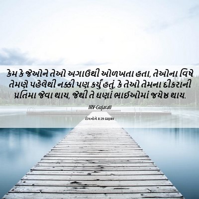 Picture 06 - રોમનોને 8:29 GUJIRV - કેમ કે જેઓને તેઓ - Bible Verse Picture
