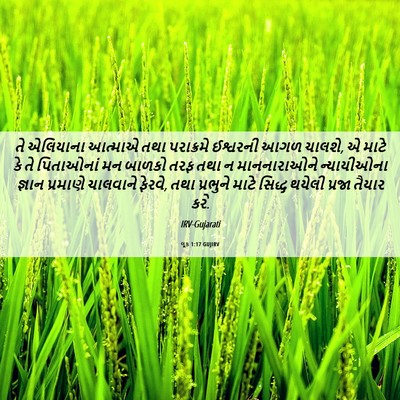 Picture 06 - લૂક 1:17 GUJIRV - તે એલિયાના આત્માએ - Bible Verse Picture