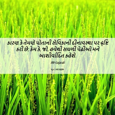 Picture 06 - લૂક 1:48 GUJIRV - કારણ કે તેમણે - Bible Verse Picture