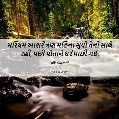 Picture 06 - લૂક 1:56 GUJIRV - મરિયમ આશરે ત્રણ - Bible Verse Picture