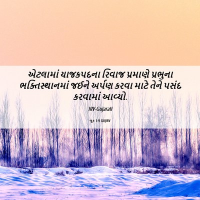 Picture 06 - લૂક 1:9 GUJIRV - એટલામાં યાજકપદના - Bible Verse Picture