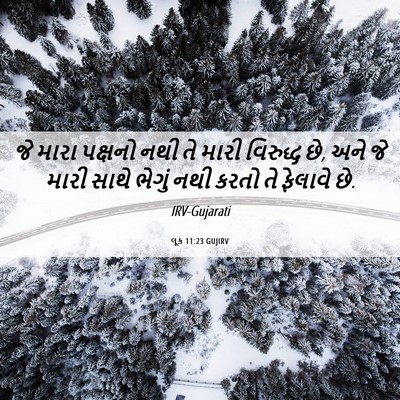 Picture 06 - લૂક 11:23 GUJIRV - જે મારા પક્ષનો નથી - Bible Verse Picture