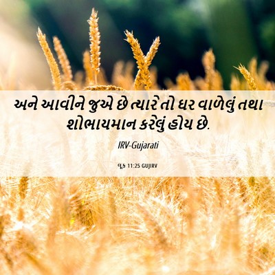 Picture 06 - લૂક 11:25 GUJIRV - અને આવીને જુએ છે - Bible Verse Picture