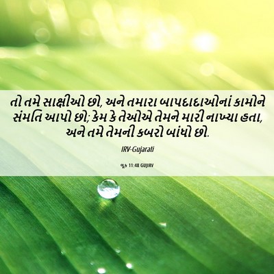 Picture 06 - લૂક 11:48 GUJIRV - તો તમે સાક્ષીઓ છો, - Bible Verse Picture