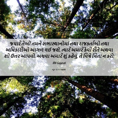 Picture 06 - લૂક 12:11 GUJIRV - જયારે તેઓ તમને - Bible Verse Picture