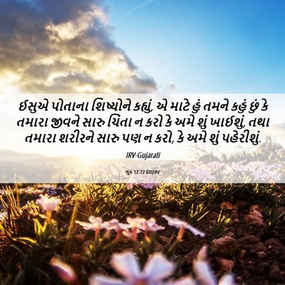 Picture 06 - લૂક 12:22 GUJIRV - ઈસુએ પોતાના - Bible Verse Picture