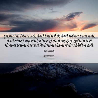 Picture 06 - લૂક 12:27 GUJIRV - ફૂલઝાડોનો વિચાર - Bible Verse Picture