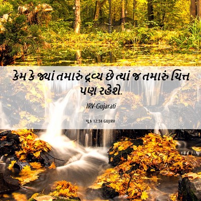 Picture 06 - લૂક 12:34 GUJIRV - કેમ કે જ્યાં - Bible Verse Picture