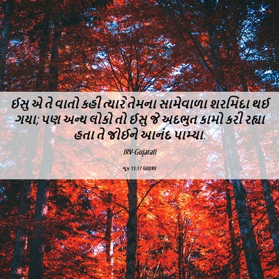 Picture 06 - લૂક 13:17 GUJIRV - ઈસુ એ તે વાતો કહી - Bible Verse Picture