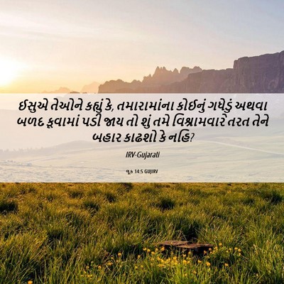 Picture 06 - લૂક 14:5 GUJIRV - ઈસુએ તેઓને કહ્યું - Bible Verse Picture