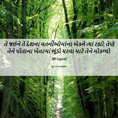 Picture 06 - લૂક 15:15 GUJIRV - તે જઈને તે દેશના - Bible Verse Picture