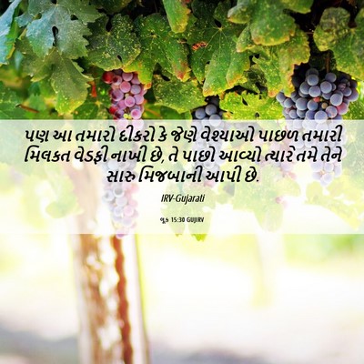 Picture 06 - લૂક 15:30 GUJIRV - પણ આ તમારો દીકરો કે - Bible Verse Picture