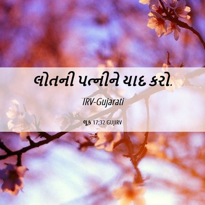 Picture 06 - લૂક 17:32 GUJIRV - લોતની પત્નીને યાદ - Bible Verse Picture
