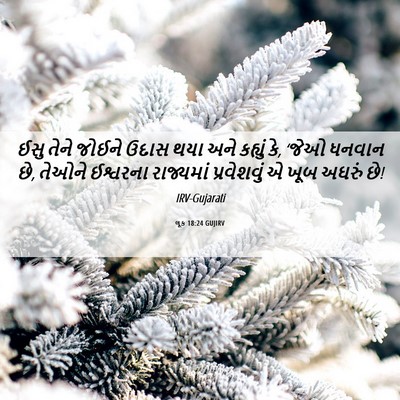 Picture 06 - લૂક 18:24 GUJIRV - ઈસુ તેને જોઈને - Bible Verse Picture