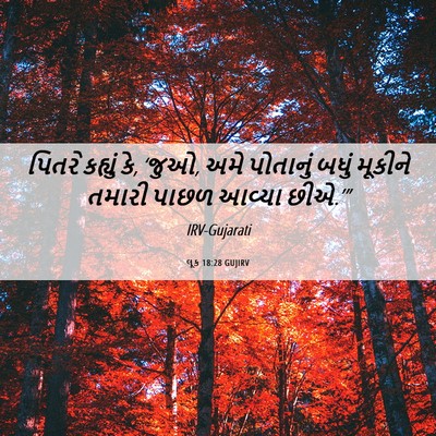 Picture 06 - લૂક 18:28 GUJIRV - પિતરે કહ્યું કે, - Bible Verse Picture