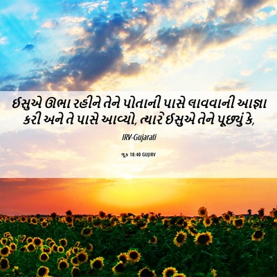 Picture 06 - લૂક 18:40 GUJIRV - ઈસુએ ઊભા રહીને - Bible Verse Picture