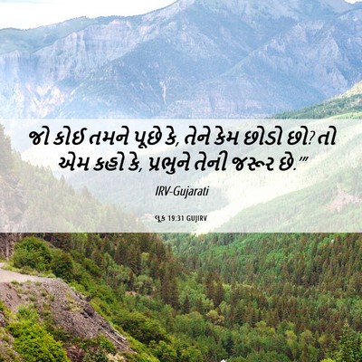 Picture 06 - લૂક 19:31 GUJIRV - જો કોઈ તમને પૂછે - Bible Verse Picture