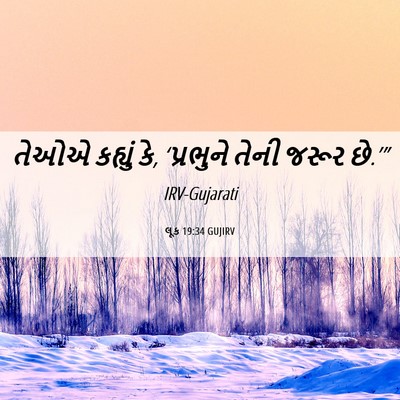 Picture 06 - લૂક 19:34 GUJIRV - તેઓએ કહ્યું કે, - Bible Verse Picture