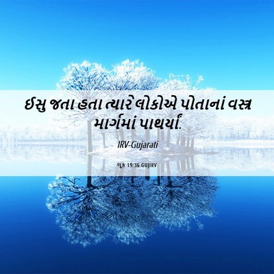Picture 06 - લૂક 19:36 GUJIRV - ઈસુ જતા હતા ત્યારે - Bible Verse Picture