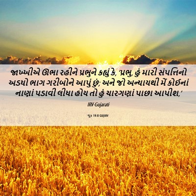 Picture 06 - લૂક 19:8 GUJIRV - જાખ્ખીએ ઊભા રહીને - Bible Verse Picture