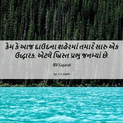 Picture 06 - લૂક 2:11 GUJIRV - કેમ કે આજ દાઉદના - Bible Verse Picture