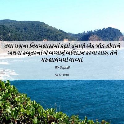 Picture 06 - લૂક 2:24 GUJIRV - તથા પ્રભુના - Bible Verse Picture