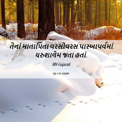 Picture 06 - લૂક 2:41 GUJIRV - તેનાં માતાપિતા - Bible Verse Picture