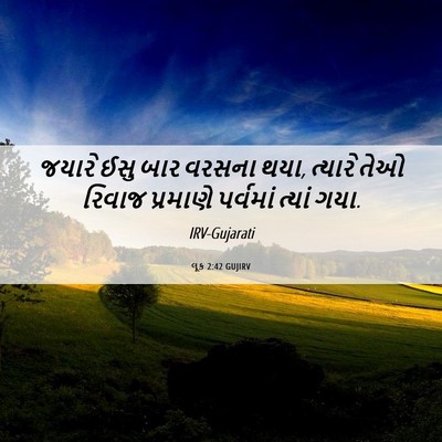 Picture 06 - લૂક 2:42 GUJIRV - જયારે ઈસુ બાર - Bible Verse Picture
