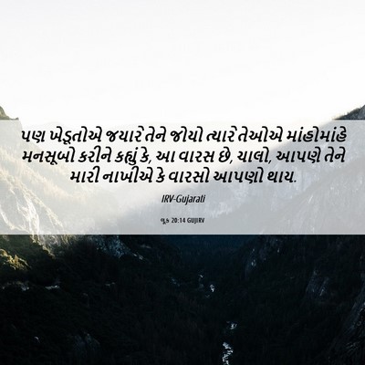 Picture 06 - લૂક 20:14 GUJIRV - પણ ખેડૂતોએ જયારે - Bible Verse Picture