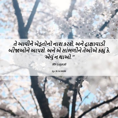 Picture 06 - લૂક 20:16 GUJIRV - તે આવીને ખેડૂતોનો - Bible Verse Picture