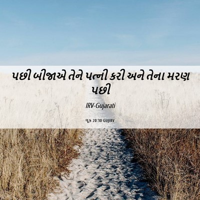 Picture 06 - લૂક 20:30 GUJIRV - પછી બીજાએ તેને - Bible Verse Picture