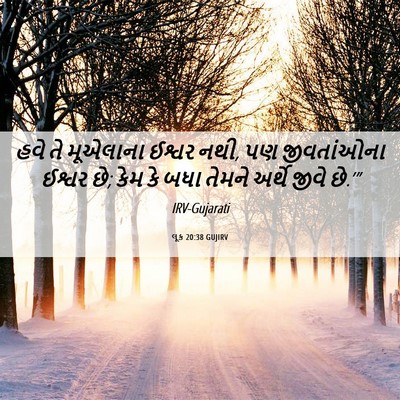 Picture 06 - લૂક 20:38 GUJIRV - હવે તે મૂએલાના - Bible Verse Picture