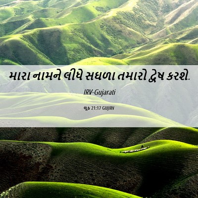 Picture 06 - લૂક 21:17 GUJIRV - મારા નામને લીધે - Bible Verse Picture