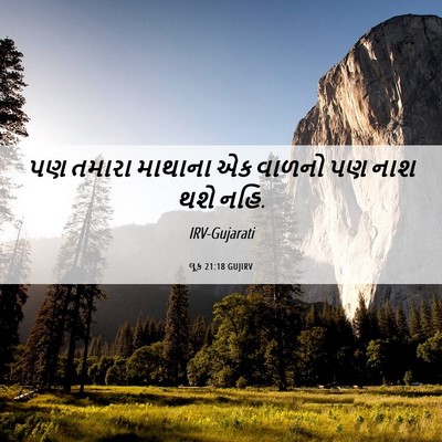 Picture 06 - લૂક 21:18 GUJIRV - પણ તમારા માથાના એક - Bible Verse Picture