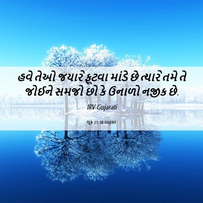 Picture 06 - લૂક 21:30 GUJIRV - હવે તેઓ જયારે - Bible Verse Picture