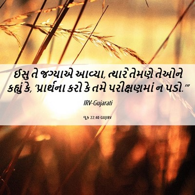 Picture 06 - લૂક 22:40 GUJIRV - ઈસુ તે જગ્યાએ - Bible Verse Picture