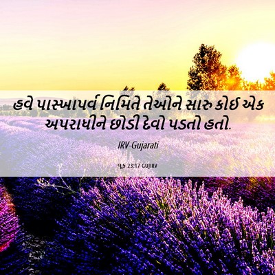 Picture 06 - લૂક 23:17 GUJIRV - હવે પાસ્ખાપર્વ - Bible Verse Picture