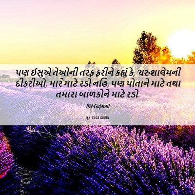 Picture 06 - લૂક 23:28 GUJIRV - પણ ઈસુએ તેઓની તરફ - Bible Verse Picture