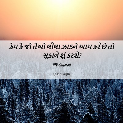 Picture 06 - લૂક 23:31 GUJIRV - કેમ કે જો તેઓ લીલા - Bible Verse Picture