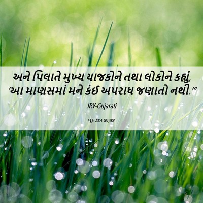 Picture 06 - લૂક 23:4 GUJIRV - અને પિલાતે મુખ્ય - Bible Verse Picture