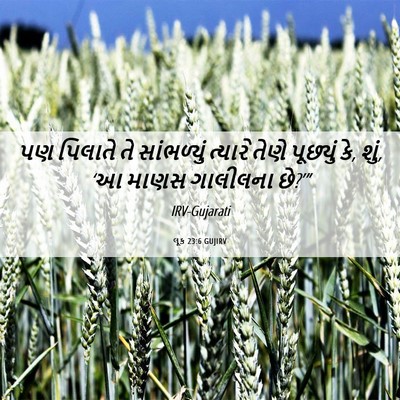 Picture 06 - લૂક 23:6 GUJIRV - પણ પિલાતે તે - Bible Verse Picture