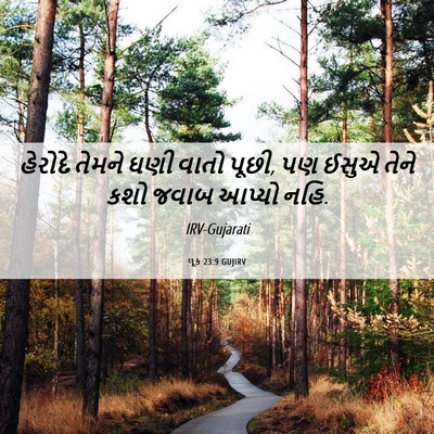 Picture 06 - લૂક 23:9 GUJIRV - હેરોદે તેમને ઘણી - Bible Verse Picture