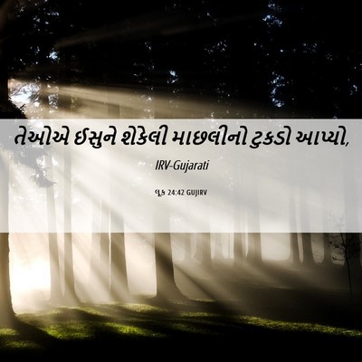 Picture 06 - લૂક 24:42 GUJIRV - તેઓએ ઈસુને શેકેલી - Bible Verse Picture