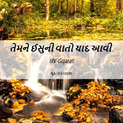 Picture 06 - લૂક 24:8 GUJIRV - તેમને ઈસુની વાતો - Bible Verse Picture