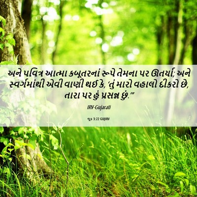 Picture 06 - લૂક 3:22 GUJIRV - અને પવિત્ર આત્મા - Bible Verse Picture