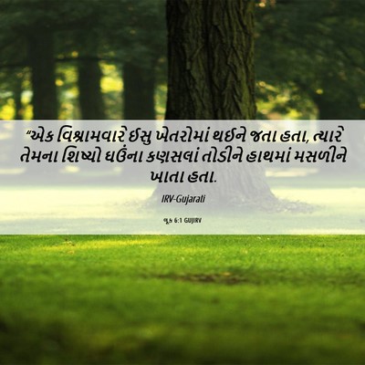 Picture 06 - લૂક 6:1 GUJIRV - “એક વિશ્રામવારે - Bible Verse Picture