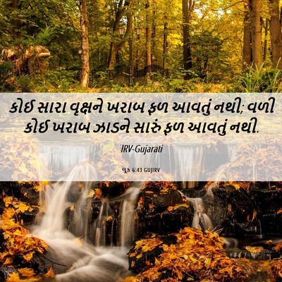 Picture 06 - લૂક 6:43 GUJIRV - કોઈ સારા વૃક્ષને - Bible Verse Picture