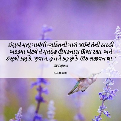 Picture 06 - લૂક 7:14 GUJIRV - ઈસુએ મૃત્યુ - Bible Verse Picture