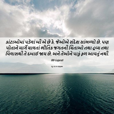 Picture 06 - લૂક 8:14 GUJIRV - કાંટાઓમાં પડેલાં - Bible Verse Picture